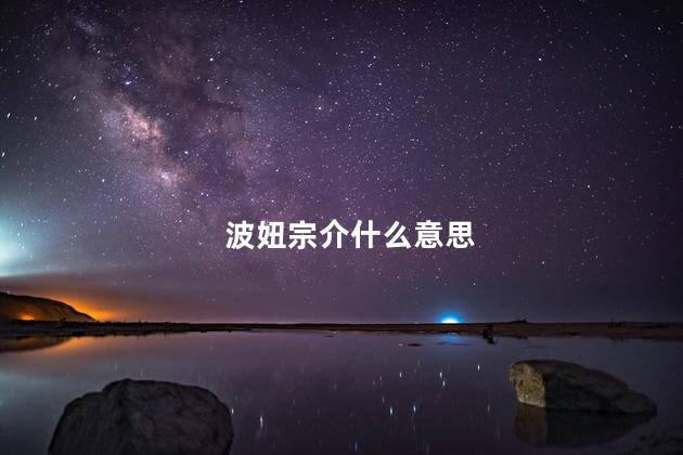波妞宗介什么意思 波妞宗介什么意思