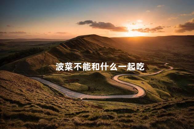 波菜不能和什么一起吃