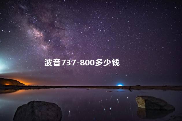 波音737-800多少钱 波音737-800多少钱