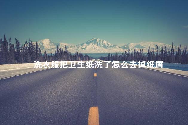 洗衣服把卫生纸洗了怎么去掉纸屑 洗衣服把卫生纸洗了怎么去掉纸屑