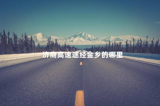 济商高速途经金乡的哪里