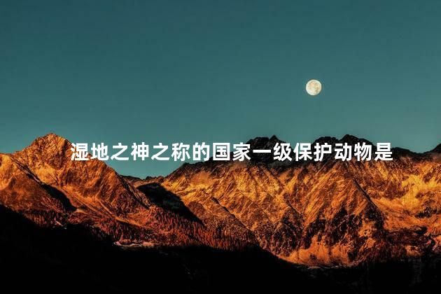 湿地之神之称的国家一级保护动物是 湿地之神之称的国家一级保护动物是