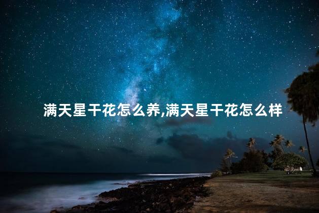 满天星干花怎么养