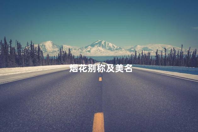烟花别称及美名 烟花别称及美名
