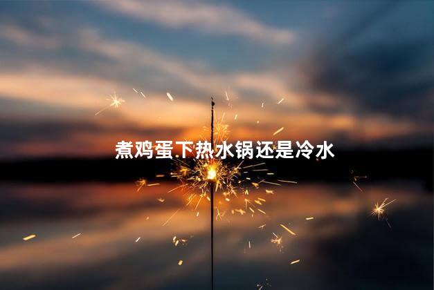 煮鸡蛋下热水锅还是冷水 煮鸡蛋下热水锅还是冷水