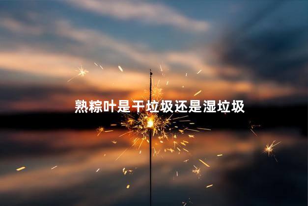熟粽叶是干垃圾还是湿垃圾