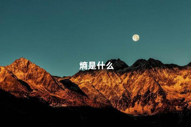 熵是什么