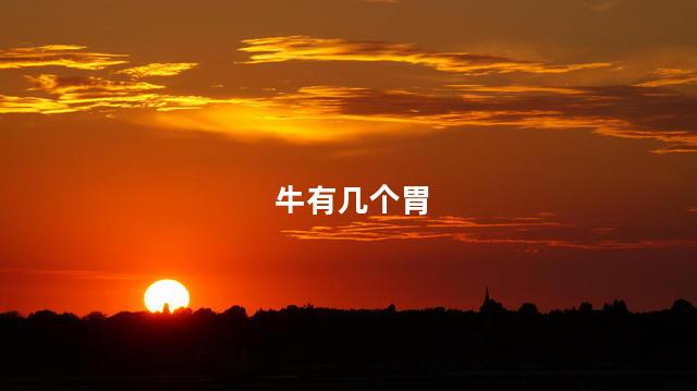 牛有几个胃 牛有几个胃