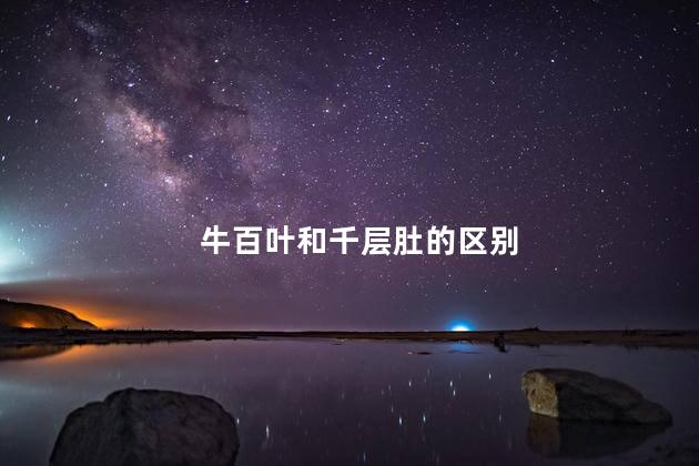 牛百叶和千层肚的区别