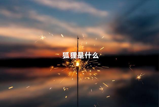 狐狸是什么 狐狸是什么