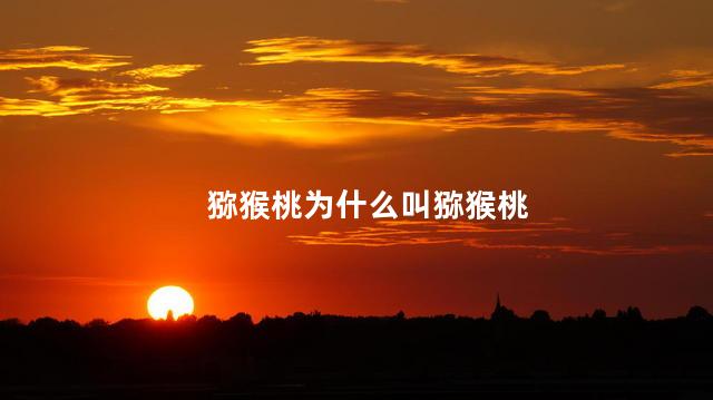 猕猴桃为什么叫猕猴桃