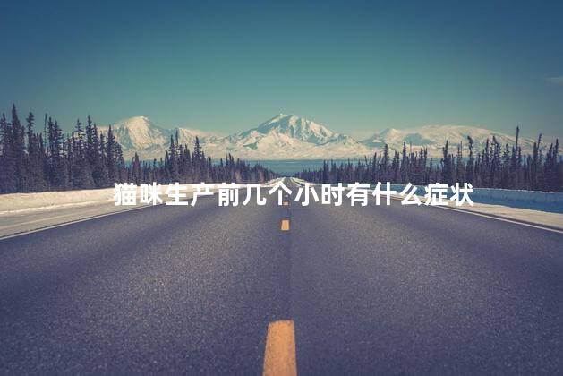 猫咪生产前几个小时有什么症状 猫咪生产前几个小时有什么症状