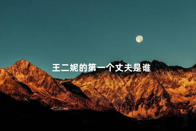 王二妮的第一个丈夫是谁