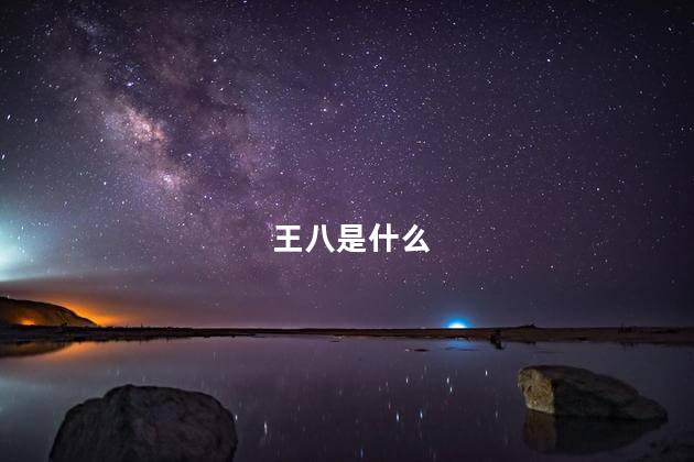 王八是什么 王八是什么