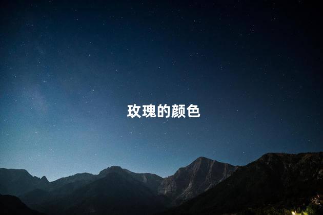 玫瑰的颜色