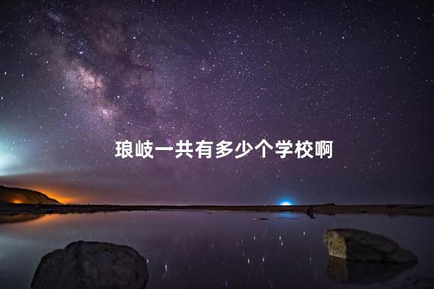 琅岐一共有多少个学校啊
