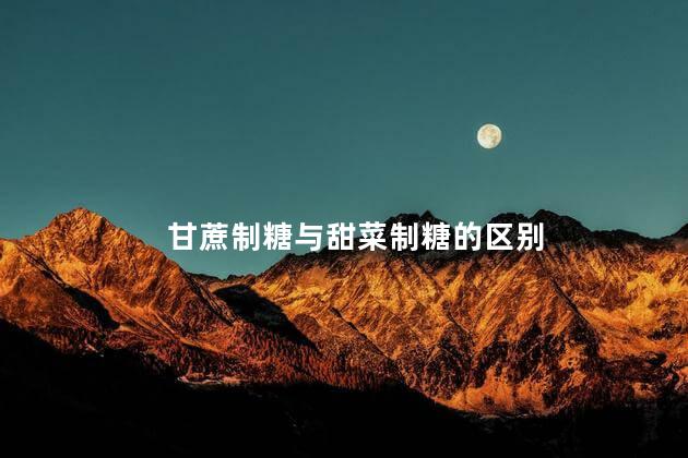 甘蔗制糖与甜菜制糖的区别 甘蔗制糖与甜菜制糖的区别