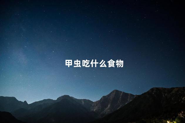 甲虫吃什么食物 甲虫吃什么食物