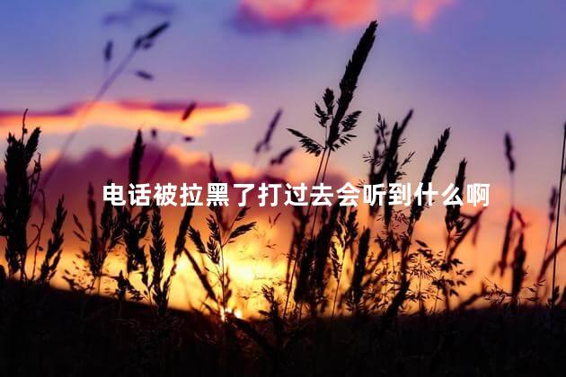 电话被拉黑了打过去会听到什么啊