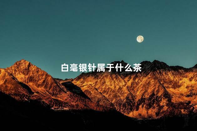 白毫银针属于什么茶 白毫银针属于什么茶