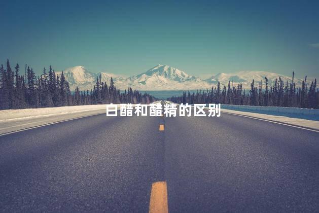白醋和醋精的区别