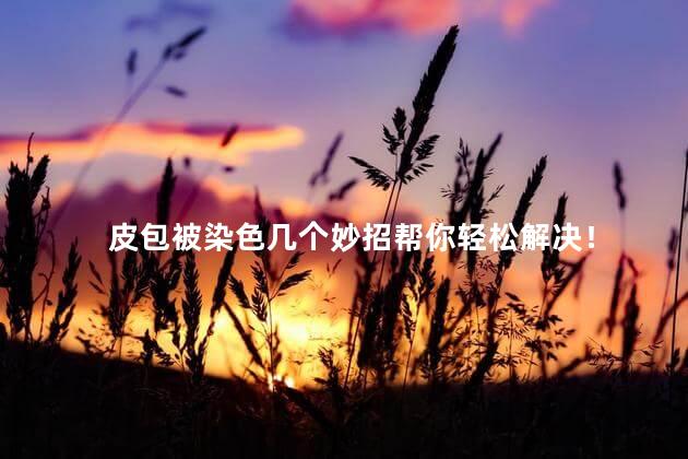皮包被染色几个妙招帮你轻松解决！