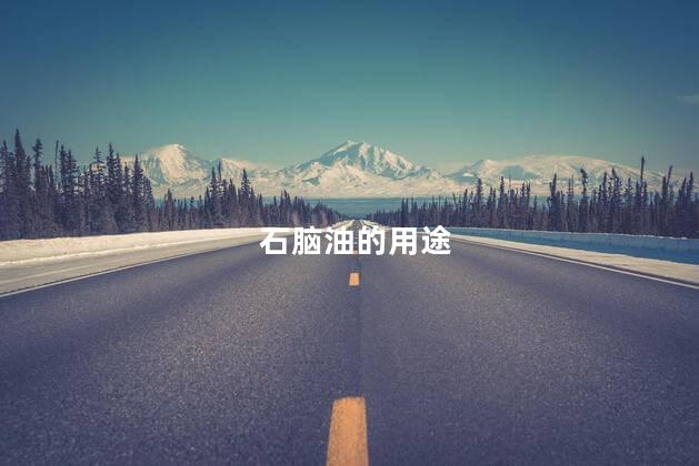 石脑油的用途