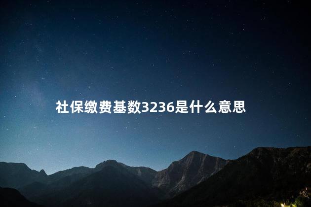 社保缴费基数3236是什么意思 社保缴费基数3236是什么意思