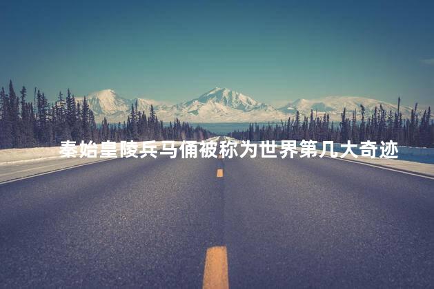 秦始皇陵兵马俑被称为世界第几大奇迹