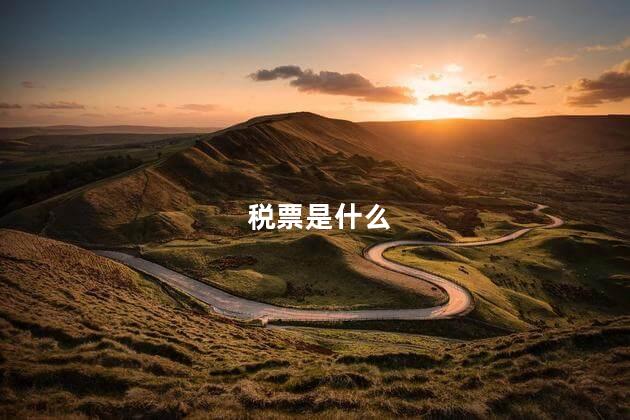 税票是什么 税票是什么