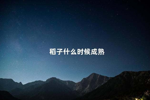 稻子什么时候成熟 稻子什么时候成熟