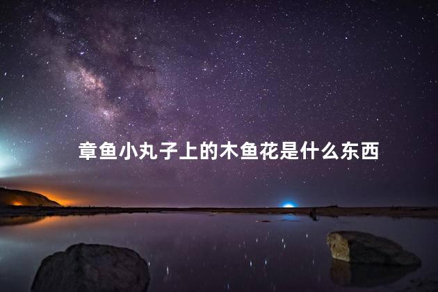 章鱼小丸子上的木鱼花是什么东西 章鱼小丸子上的木鱼花是什么东西