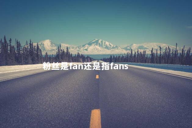 粉丝是fan还是指fans 粉丝是fan还是指fans