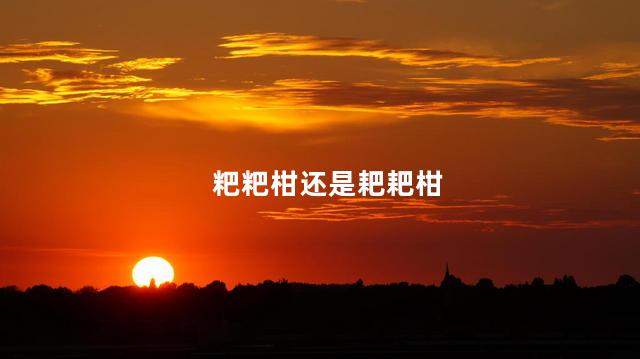 粑粑柑还是耙耙柑 粑粑柑还是耙耙柑