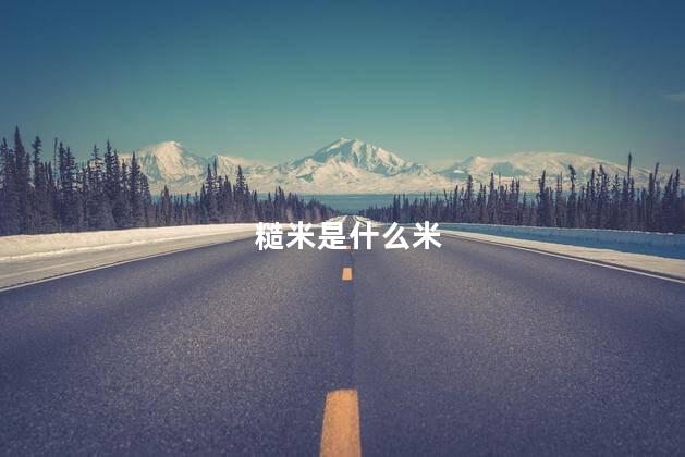 糙米是什么米