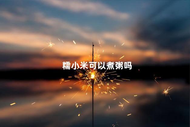 糯小米可以煮粥吗 糯小米可以煮粥吗