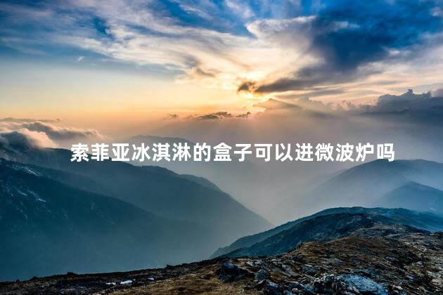 索菲亚冰淇淋的盒子可以进微波炉吗 索菲亚冰淇淋的盒子可以进微波炉吗