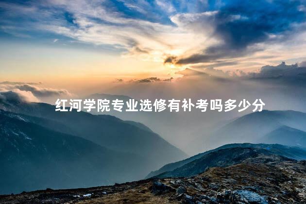 红河学院专业选修有补考吗多少分