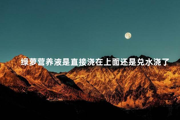 绿萝营养液是直接浇在上面还是兑水浇了