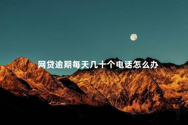 网贷逾期每天几十个电话怎么办