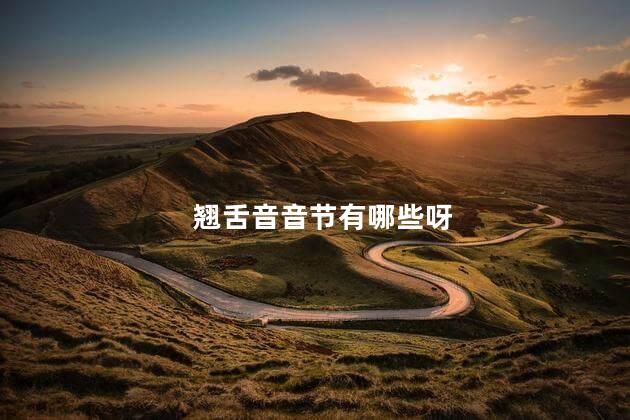 翘舌音音节有哪些呀 翘舌音音节有哪些呀