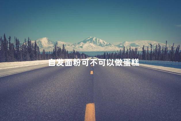 自发面粉可不可以做蛋糕