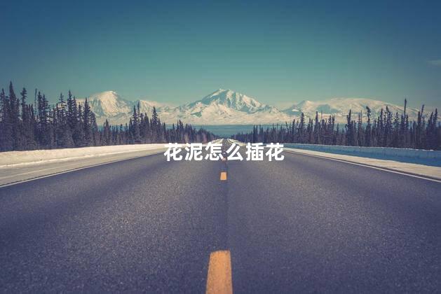 花泥怎么插花 花泥怎么插花
