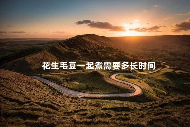 花生毛豆一起煮需要多长时间 花生毛豆一起煮需要多长时间