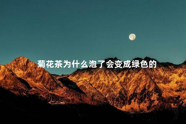 菊花茶为什么泡了会变成绿色的