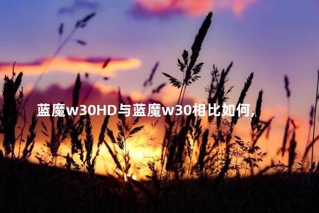 蓝魔w31