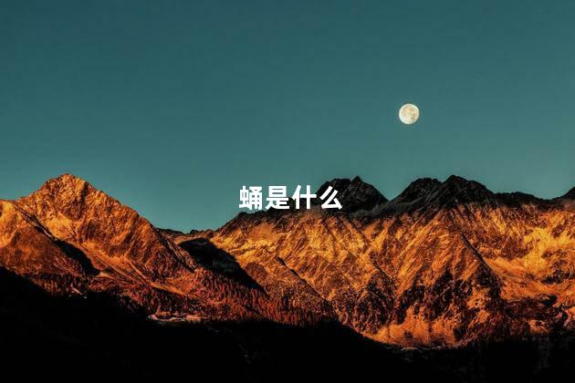 蛹是什么 蛹是什么