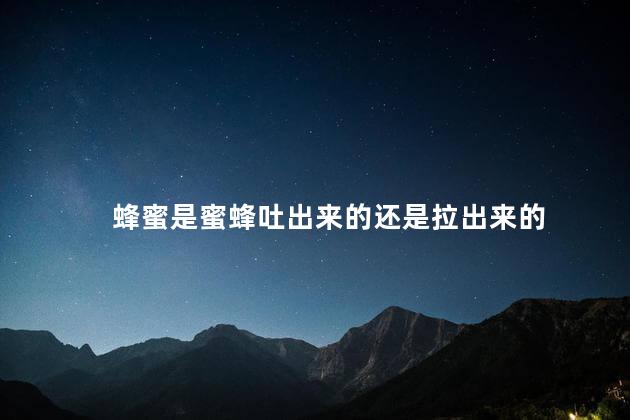 蜂蜜是蜜蜂吐出来的还是拉出来的 蜂蜜是蜜蜂吐出来的还是拉出来的