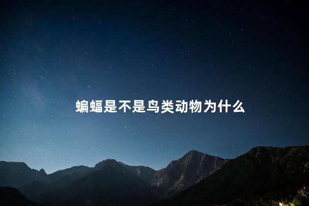 蝙蝠是不是鸟类动物为什么