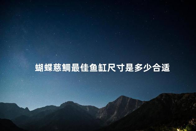 蝴蝶慈鲷最佳鱼缸尺寸是多少合适